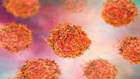 ستاد فرهنگسازی اقتصاد دانش بنیان New Kind of Compound Shows Early Promise against Prostate Cancer