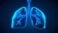 ستاد فرهنگسازی اقتصاد دانش بنیان Stem Cell Transplants Used To Grow Fully Functional Lungs in Mice