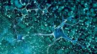 ستاد فرهنگسازی اقتصاد دانش بنیان Human blood cells can be directly reprogrammed into neural stem cells