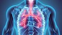 ستاد فرهنگسازی اقتصاد دانش بنیان Severely injured donor lungs can be recovered using cross-circulation platform