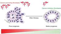 ستاد فرهنگسازی اقتصاد دانش بنیان New therapy to target the spread of bowel cancer