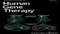 ستاد فرهنگسازی اقتصاد دانش بنیان Gene therapy for placental insufficiency moves toward the clinic