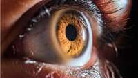 ستاد فرهنگسازی اقتصاد دانش بنیان Study shows stem cells constitute alternative approach for treating corneal scarring