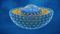 ستاد فرهنگسازی اقتصاد دانش بنیان Researchers show safer, more targeted way to deliver CRISPR gene therapy