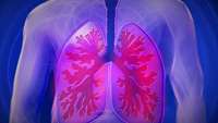 ستاد فرهنگسازی اقتصاد دانش بنیان Stanford team creates cellular atlas of the human lung