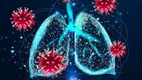 ستاد فرهنگسازی اقتصاد دانش بنیان 'Mini-lungs' reveal early stages of SARS-CoV-2 infection