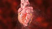 ستاد فرهنگسازی اقتصاد دانش بنیان Clinical trial in a dish: A novel strategy for drug development in heart disease