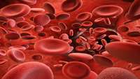 ستاد فرهنگسازی اقتصاد دانش بنیان Epigenetics key to daily production of 10 billion blood cells without mistakes