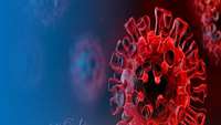 ستاد فرهنگسازی اقتصاد دانش بنیان  'SILENT' MUTATIONS GAVE THE CORONAVIRUS AN EVOLUTIONARY EDGE