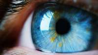 ستاد فرهنگسازی اقتصاد دانش بنیان A rift in the retina may help repair the optic nerve