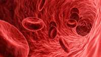 ستاد فرهنگسازی اقتصاد دانش بنیان  Cell-to-cell fusion approach boosts supply of blood stem cells