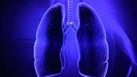 ستاد فرهنگسازی اقتصاد دانش بنیان Novel regeneration method to repair severely damaged lungs