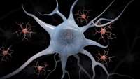 ستاد فرهنگسازی اقتصاد دانش بنیان Scientists replace malfunctioning 'vacuum cleaner' cells linked to neurological disorders