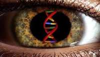 ستاد فرهنگسازی اقتصاد دانش بنیان  Scientists develop new gene therapy for eye disease