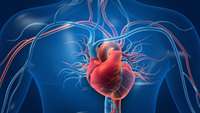 ستاد فرهنگسازی اقتصاد دانش بنیان Brachyury engineers cardiac repair competent stem cells