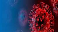 ستاد فرهنگسازی اقتصاد دانش بنیان 'SILENT' MUTATIONS GAVE THE CORONAVIRUS AN EVOLUTIONARY EDGE