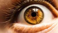 ستاد فرهنگسازی اقتصاد دانش بنیان Retinal transplant boost opens door to treat eyesight loss