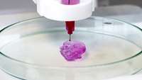 ستاد فرهنگسازی اقتصاد دانش بنیان New bioink brings 3D-printing of human organs closer to reality