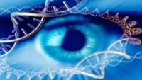 ستاد فرهنگسازی اقتصاد دانش بنیان   Scientists develop new gene therapy for eye disease