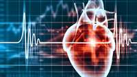 ستاد فرهنگسازی اقتصاد دانش بنیان Could cardiac scar tissue be reprogrammed into healthy cardiomyocytes