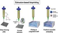 ستاد فرهنگسازی اقتصاد دانش بنیان Extrusion and Microfluidic-Based Bioprinting to Fabricate Biomimetic Tissues and Organs