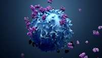 ستاد فرهنگسازی اقتصاد دانش بنیان  New CAR T-cell therapy for solid tumors was safe and showed early efficacy