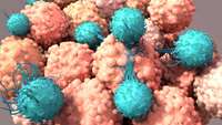 ستاد فرهنگسازی اقتصاد دانش بنیان CAR T Cells “Loaded” with Oncolytic Viruses Boost Attack on Solid Tumors