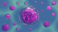 ستاد فرهنگسازی اقتصاد دانش بنیان Nanoparticle "Backpacks" Restore Damaged Stem Cells