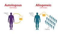 ستاد فرهنگسازی اقتصاد دانش بنیان Allogenic immune cell therapies to be developed as three groups join forces