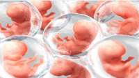 ستاد فرهنگسازی اقتصاد دانش بنیان A biotech company wants to take human DNA and create artificial embryos that could be used to harvest organs for medical transplants