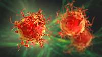 ستاد فرهنگسازی اقتصاد دانش بنیان CRISPR Replaces Immune Receptors in Personalized Cancer Cell Therapy