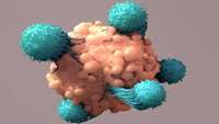 ستاد فرهنگسازی اقتصاد دانش بنیان  Extracellular vesicles enhance cancer immunotherapy