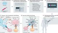 ستاد فرهنگسازی اقتصاد دانش بنیان  Identification of neoantigens for individualized therapeutic cancer vaccines