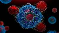 ستاد فرهنگسازی اقتصاد دانش بنیان New approach to CAR T-cell therapy for B-cell cancers triples the targeted antigens on cancer cells