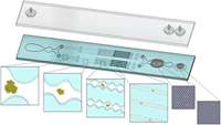 ستاد فرهنگسازی اقتصاد دانش بنیان Optimization of Mechanical Tissue Dissociation Using an Integrated Microfluidic Device for Improved Generation of Single Cells Following Digestion