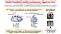 ستاد فرهنگسازی اقتصاد دانش بنیان A myeloma-targeting monoclonal antibody offers new hope for treating multiple myeloma