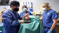 ستاد فرهنگسازی اقتصاد دانش بنیان Man gets genetically-modified pig heart in world-first transplant