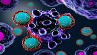 ستاد فرهنگسازی اقتصاد دانش بنیان Use of CAR-T Cell Therapy to Target Solid Tumors