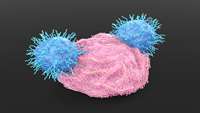 ستاد فرهنگسازی اقتصاد دانش بنیان  Activating CAR T cell therapy for treatment of solid tumors