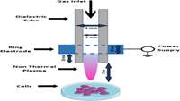 ستاد فرهنگسازی اقتصاد دانش بنیان Biophysical evaluation of treating adipose tissue-derived stem cells using non-thermal atmospheric pressure plasma