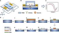 ستاد فرهنگسازی اقتصاد دانش بنیان Real-time and label-free detection of exosomes on chip