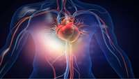 ستاد فرهنگسازی اقتصاد دانش بنیان Biochemistry Researchers Repair and Regenerate Heart Muscle Cells 