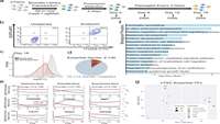 ستاد فرهنگسازی اقتصاد دانش بنیان A genome-wide CRISPR-Cas9 knockout screen identifies essential and growth-restricting genes in human trophoblast stem cells 