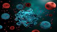 ستاد فرهنگسازی اقتصاد دانش بنیان Next evolution of CAR T-cell therapy is solid tumors