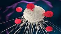 ستاد فرهنگسازی اقتصاد دانش بنیان New approach to immunotherapy provokes a robust anti-tumor immune response in preclinical models