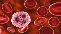 ستاد فرهنگسازی اقتصاد دانش بنیان CAR Monocyte Therapy Fast Tracked for Peripheral T-Cell Lymphoma