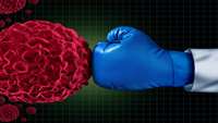 ستاد فرهنگسازی اقتصاد دانش بنیان  First-In-Class Immune Checkpoint Therapy Unlocks NK Cell Attack on Tumors