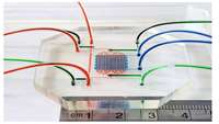 ستاد فرهنگسازی اقتصاد دانش بنیان The microfluidic device that emulated an embryo's heartbeat and blood circulation