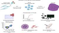 ستاد فرهنگسازی اقتصاد دانش بنیان Establishment of human induced trophoblast stem cells via reprogramming of fibroblasts