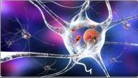 ستاد فرهنگسازی اقتصاد دانش بنیان Researchers in Japan start gene therapy trial for Parkinson's disease